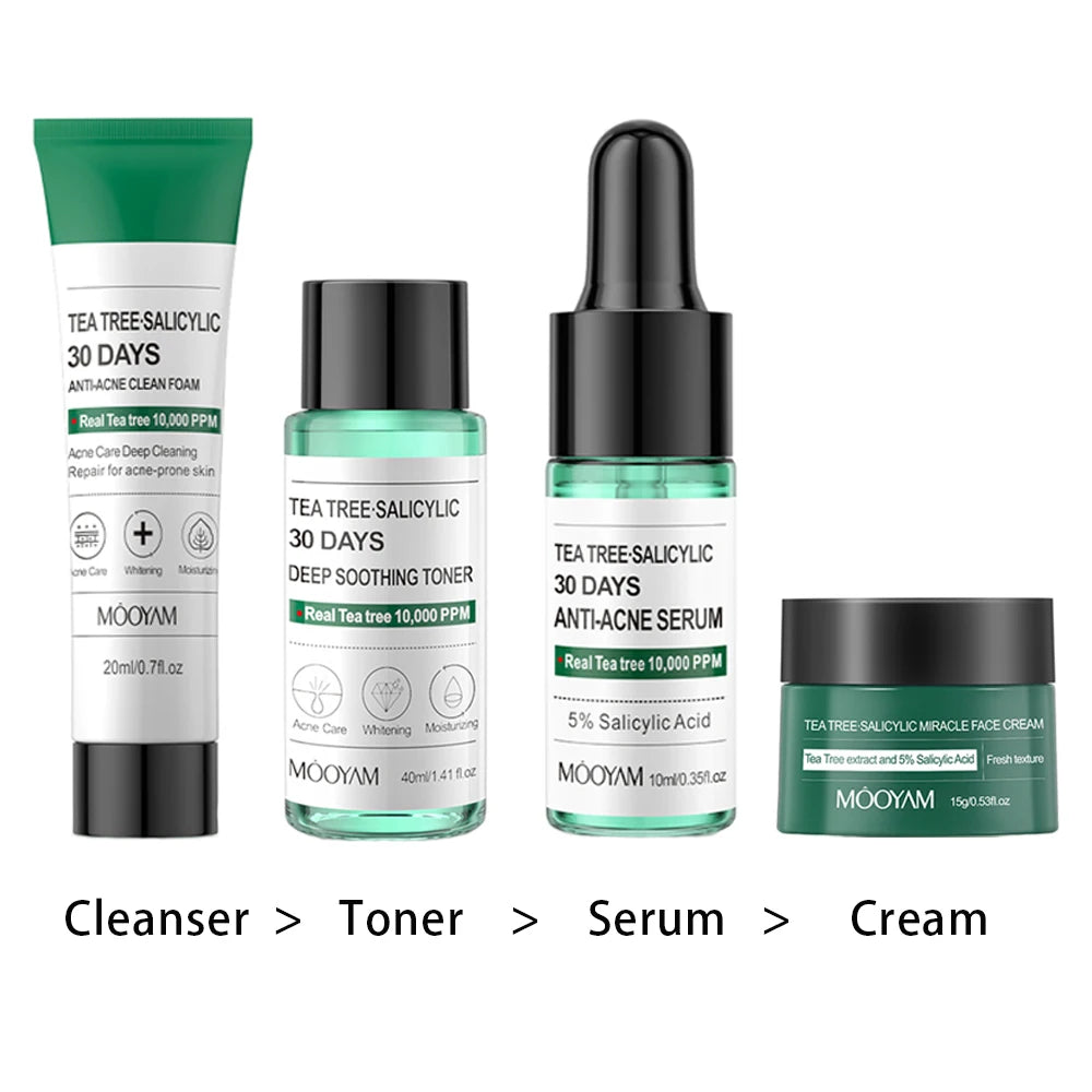 Tea Tree Salicylic Skincare Kit Facial Cleanser Face Care Set